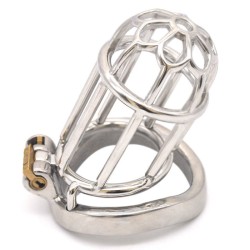 plum-blossom-bend-ring-chastity-device.j